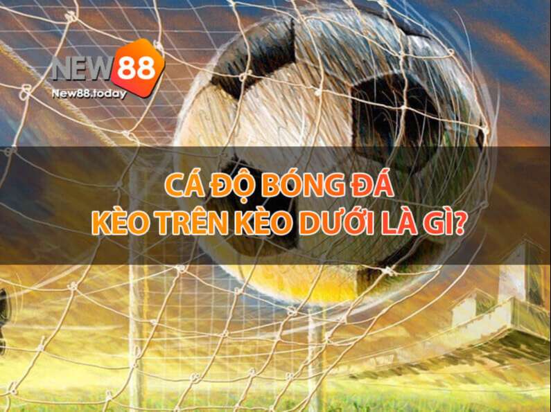 Giải thích cá độ bóng đá kèo trên, kèo dưới
