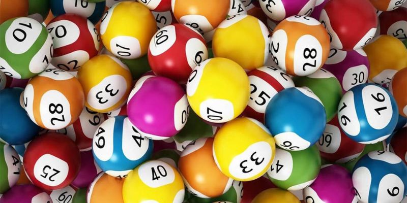 Không nuôi mãi 1 con